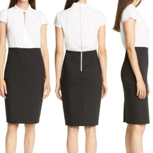 Ted Baker Daylla Two-Tone Mock Neck Pencil Dress Size: US 8 - Picture 1 of 10